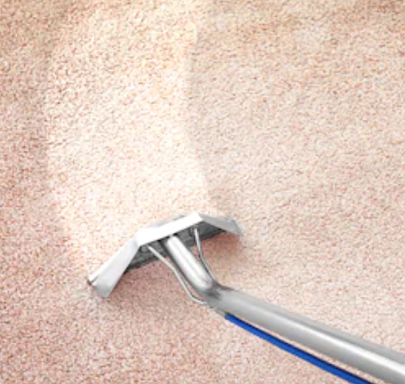 carpet cleaning glebe